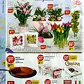 antevisão folheto pingo doce 27 abril a 3 maio_38.jpg